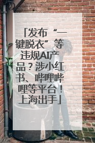 发布“一键脱衣”等违规AI产品？涉小红书、哔哩哔哩等平台！上海出手