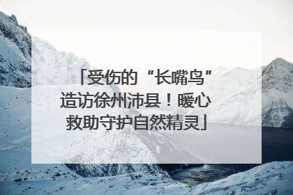 受伤的“长嘴鸟”造访徐州沛县！暖心救助守护自然精灵