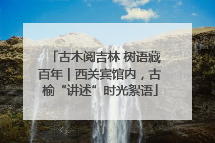 古木阅吉林 树语藏百年｜西关宾馆内，古榆“讲述”时光絮语
