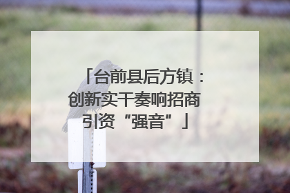 台前县后方镇：创新实干奏响招商引资“强音”