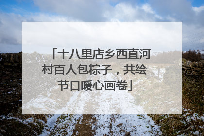 十八里店乡西直河村百人包粽子，共绘节日暖心画卷