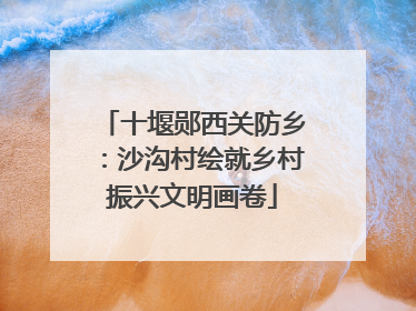 十堰郧西关防乡：沙沟村绘就乡村振兴文明画卷