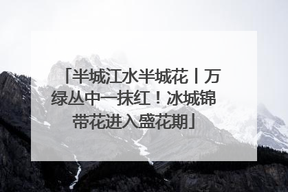 半城江水半城花丨万绿丛中一抹红！冰城锦带花进入盛花期