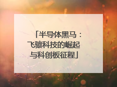 半导体黑马：飞骧科技的崛起与科创板征程