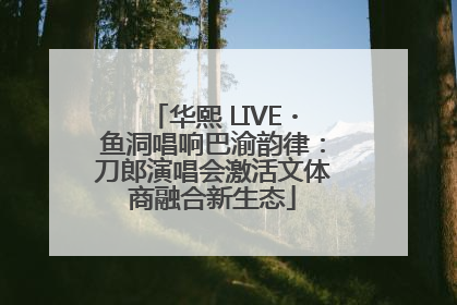华熙 LIVE・鱼洞唱响巴渝韵律：刀郎演唱会激活文体商融合新生态