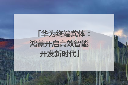 华为终端龚体：鸿蒙开启高效智能开发新时代