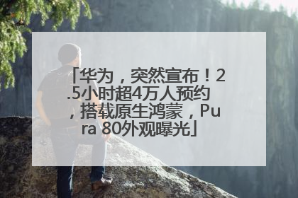 华为，突然宣布！2.5小时超4万人预约，搭载原生鸿蒙，Pura 80外观曝光