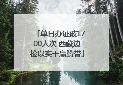 单日办证破1700人次 西藏边检以实干赢赞誉