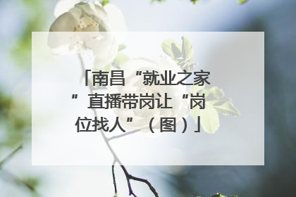 南昌“就业之家”直播带岗让“岗位找人”（图）