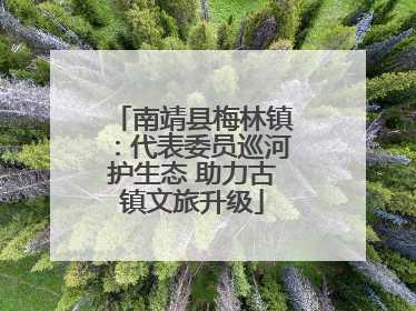 南靖县梅林镇：代表委员巡河护生态 助力古镇文旅升级