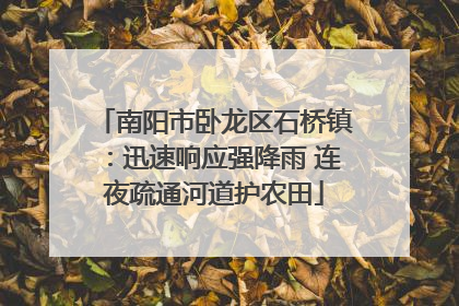 南阳市卧龙区石桥镇：迅速响应强降雨 连夜疏通河道护农田