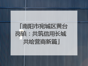 南阳市宛城区黄台岗镇：共筑信用长城 共绘营商新篇