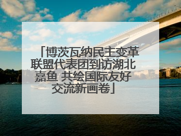 博茨瓦纳民主变革联盟代表团到访湖北嘉鱼 共绘国际友好交流新画卷