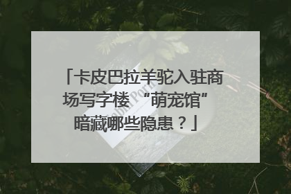 卡皮巴拉羊驼入驻商场写字楼 “萌宠馆”暗藏哪些隐患？