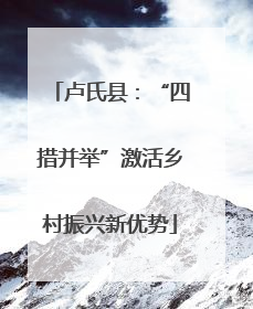 卢氏县：“四措并举”激活乡村振兴新优势