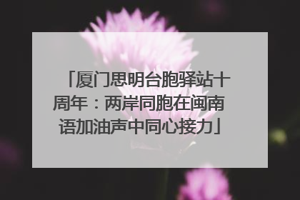 厦门思明台胞驿站十周年：两岸同胞在闽南语加油声中同心接力