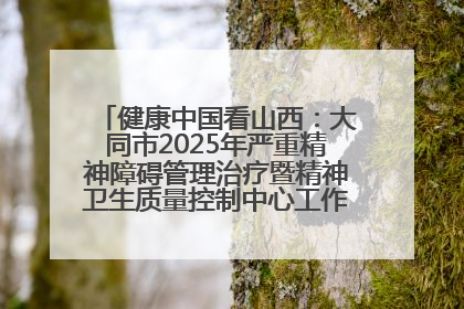健康中国看山西：大同市2025年严重精神障碍管理治疗暨精神卫生质量控制中心工作培训班开班