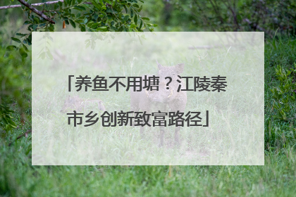 养鱼不用塘？江陵秦市乡创新致富路径