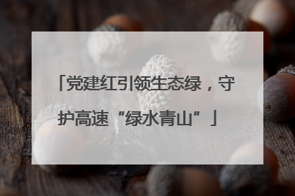 党建红引领生态绿，守护高速“绿水青山”