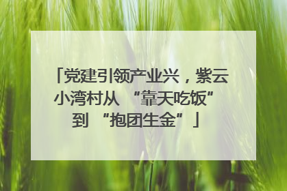 党建引领产业兴，紫云小湾村从 “靠天吃饭” 到 “抱团生金”