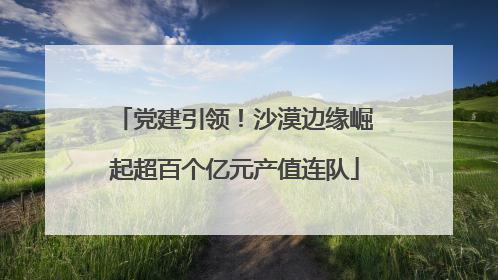 党建引领！沙漠边缘崛起超百个亿元产值连队