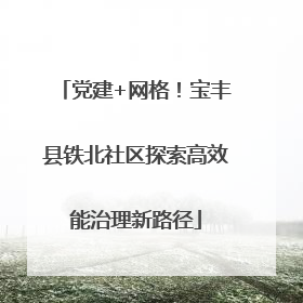 党建+网格！宝丰县铁北社区探索高效能治理新路径