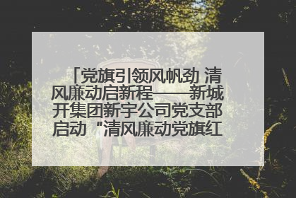 党旗引领风帆劲 清风廉动启新程——新城开集团新宇公司党支部启动“清风廉动党旗红”系列活动