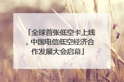 全球首张低空卡上线，中国电信低空经济合作发展大会启幕