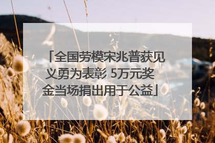 全国劳模宋兆普获见义勇为表彰 5万元奖金当场捐出用于公益