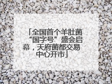 全国首个羊肚菌“国字号”盛会启幕，天府菌都交易中心开市