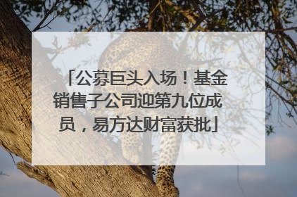 公募巨头入场！基金销售子公司迎第九位成员，易方达财富获批