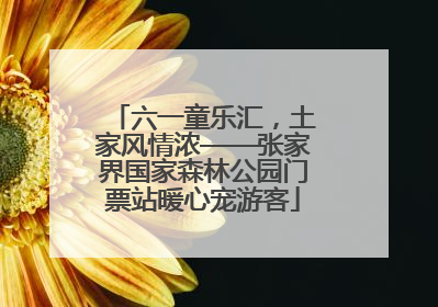 六一童乐汇，土家风情浓——张家界国家森林公园门票站暖心宠游客