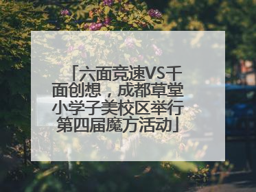 六面竞速VS千面创想，成都草堂小学子美校区举行第四届魔方活动