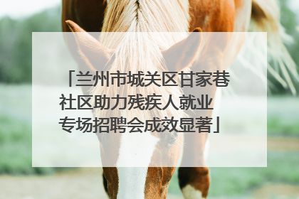兰州市城关区甘家巷社区助力残疾人就业 专场招聘会成效显著