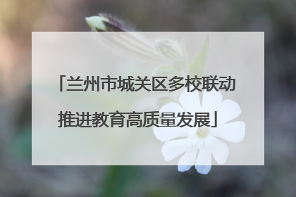 兰州市城关区多校联动推进教育高质量发展