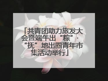 共青团助力旅发大会暨端午出“粽”·“抚”地出圈青年市集活动举行