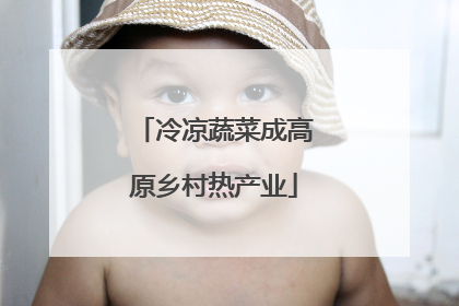 冷凉蔬菜成高原乡村热产业