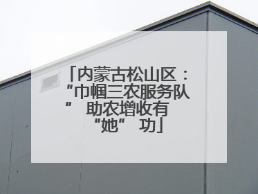 内蒙古松山区：“巾帼三农服务队” 助农增收有 “她” 功