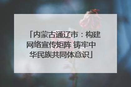 内蒙古通辽市：构建网络宣传矩阵 铸牢中华民族共同体意识