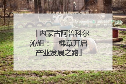 内蒙古阿鲁科尔沁旗：一棵草开启产业发展之路