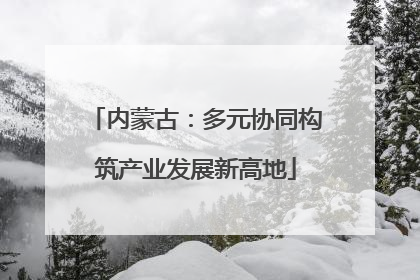 内蒙古：多元协同构筑产业发展新高地