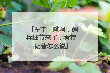 军事｜呦呵，阅兵细节来了，看特朗普怎么说