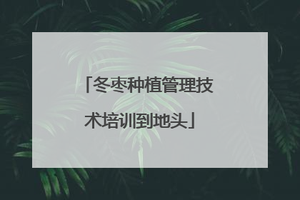 冬枣种植管理技术培训到地头