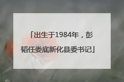 出生于1984年，彭韬任娄底新化县委书记