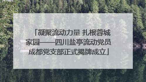 凝聚流动力量 扎根蓉城家园——四川盐亭流动党员成都党支部正式揭牌成立