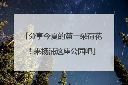 分享今夏的第一朵荷花！来杨浦这座公园吧