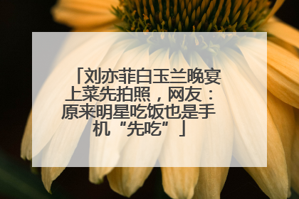 刘亦菲白玉兰晚宴上菜先拍照，网友：原来明星吃饭也是手机“先吃”