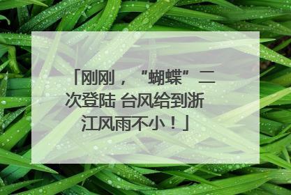 刚刚，“蝴蝶”二次登陆 台风给到浙江风雨不小！