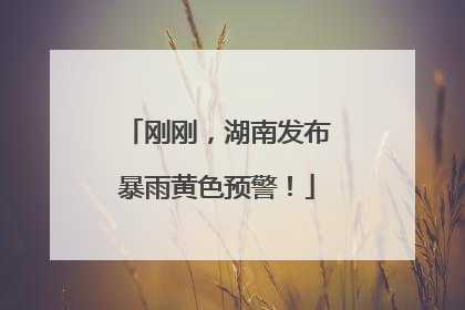 刚刚，湖南发布暴雨黄色预警！
