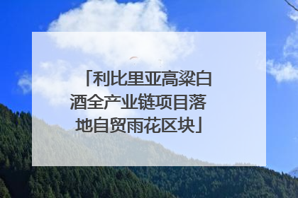 利比里亚高粱白酒全产业链项目落地自贸雨花区块